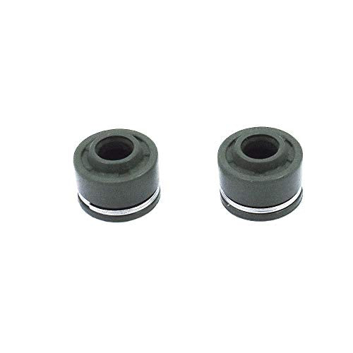 labwork Cylinder Gaskets Set Assembly Replacement for Honda ATC 200 XL200 ATC 250