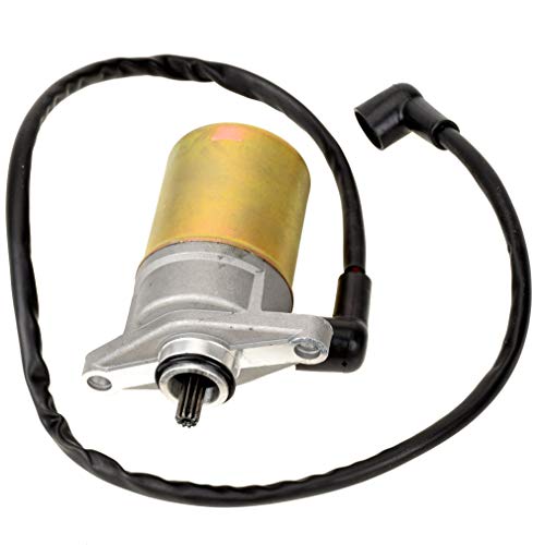HIAORS 10 Teeth Starter Motor for Tao tao Jonway Sunl Roketa Baja Peace Sports GY6 47cc 49cc 50cc Chinese 4-Stroke QMB139 Engine Scooter Moped Parts