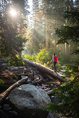 TETON Sports Oasis 18L Hydration Pack with Free 2-Liter Water Bladder; The Perfect Backpack for Hiking, Running, Cycling, or Commuting