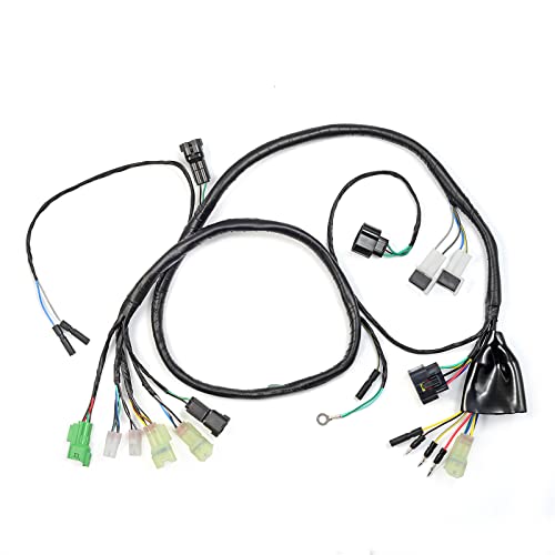 Wire Harness for Honda 400EX TRX400EX 2005 2006 2007 SPORTRAX 400EX 32100-HN1-A40