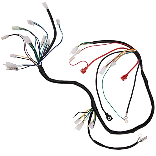 Complete Wiring Harness kit for ATV Quad 4 Four Wheelers GY6 50CC 70CC 110CC 125CC Go Kart Dirt Pit Bikes With Electrics Stator Coil CDI Wiring Harness Solenoid Relay Spark Plug by KAKO
