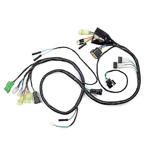 Wire Harness for Honda 400EX TRX400EX 2005 2006 2007 SPORTRAX 400EX 32100-HN1-A40