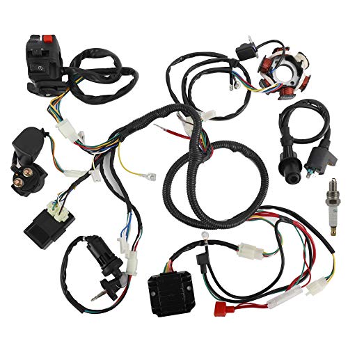 AuInLand Electrics Wiring Harness Loom Kit Electrics Stator Coil CDI Wiring Harness Solenoid Relay Spark Plug for GY6 150cc-250cc ATV Quad