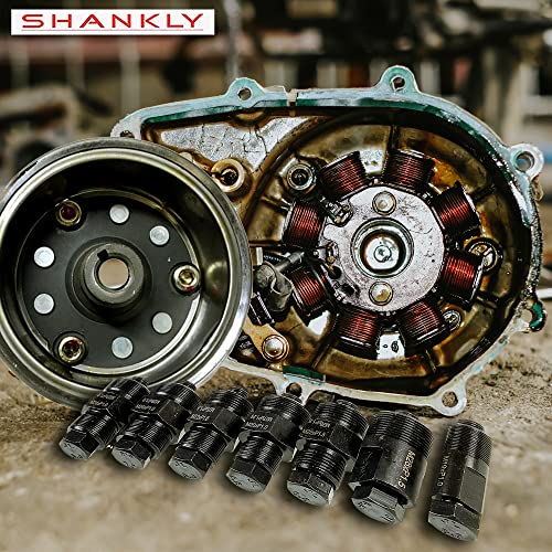 Motorcycle Flywheel Puller Set | 10pcs Universal Motorcycle ATV Moped Flywheel Puller Set | Motorcycle Repair Tool for Motorcycle Bikes, Honda, Suzuki, Bosch, Kawasaki, Ducati, Yamaha Flywheel